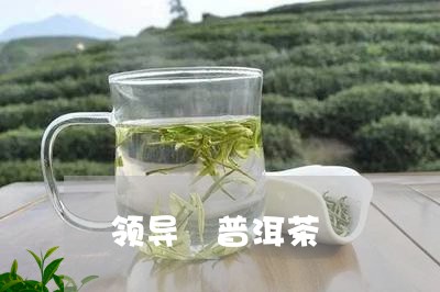 领导 普洱茶/2023042874176